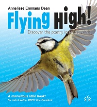 Flying High!