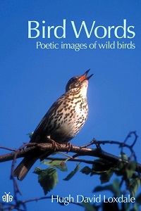 Bird Words - Poetic Images of Wild Birds