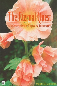 The Eternal Quest
