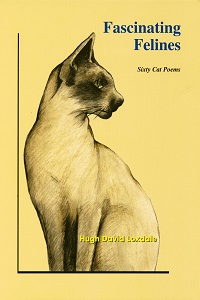 Fascinating Felines