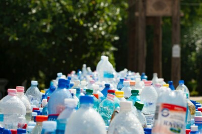Plastic bottles, topic related to plastic-eating microbes.